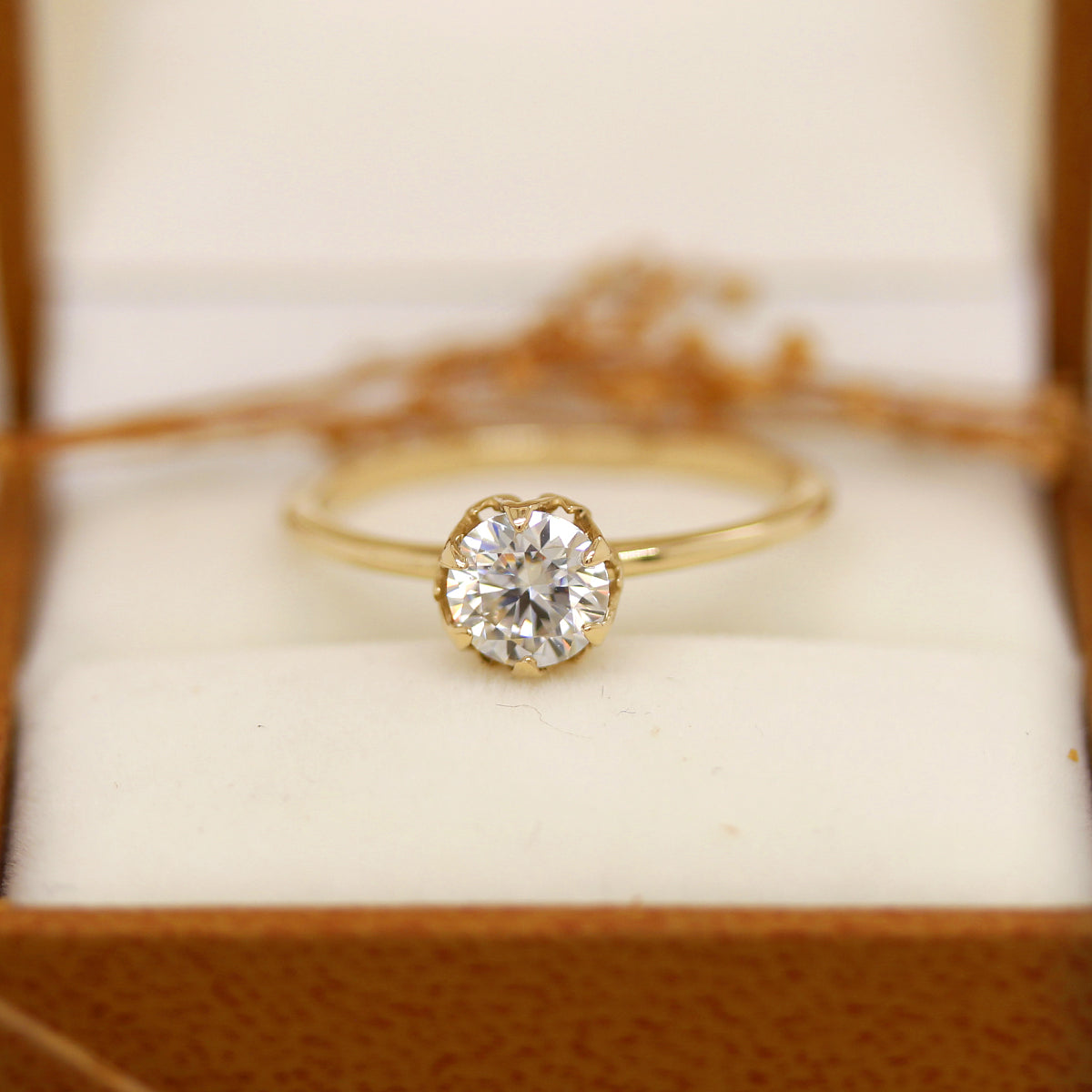 Anillo solitario Carlotta Moissanita