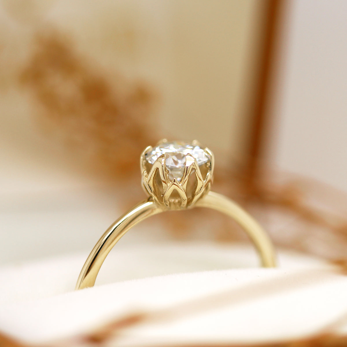 Anillo solitario Carlotta Moissanita